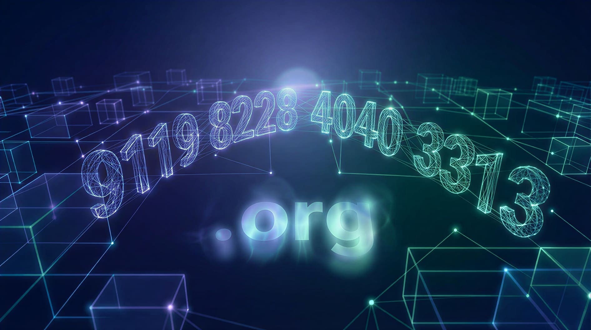 The Liquidity and End-User Dynamics of NNNN.org Domains